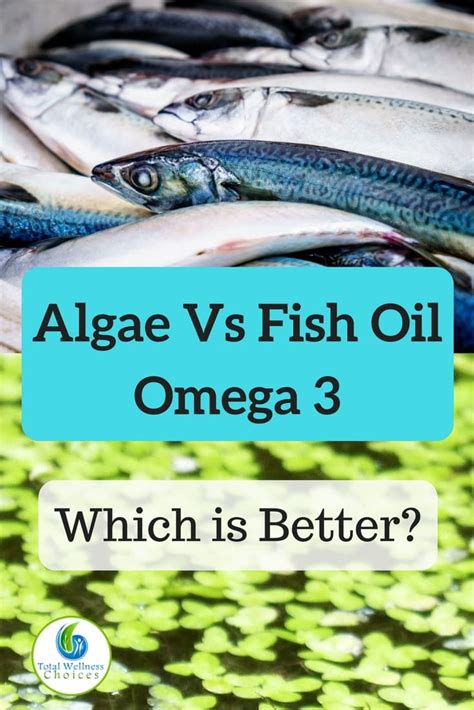 algae oil vs fish oil